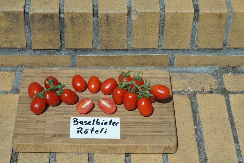 Tomatenvielfalt