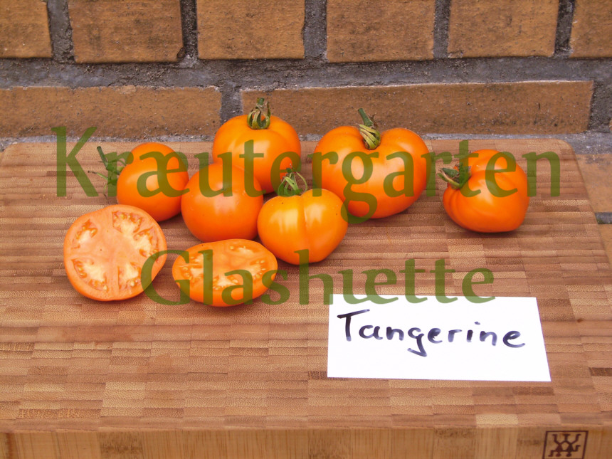 Tomatenvielfalt